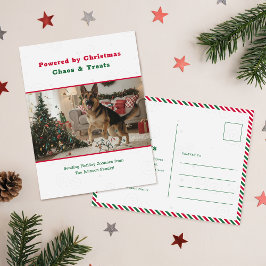 Postal Festiva Humorous Funny Pet Dog Photo Christmas Postcard