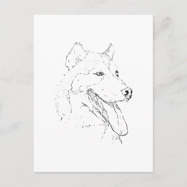 Postal Festiva Husky Siberiano – Dibujo de línea de perro minimal (Anverso)