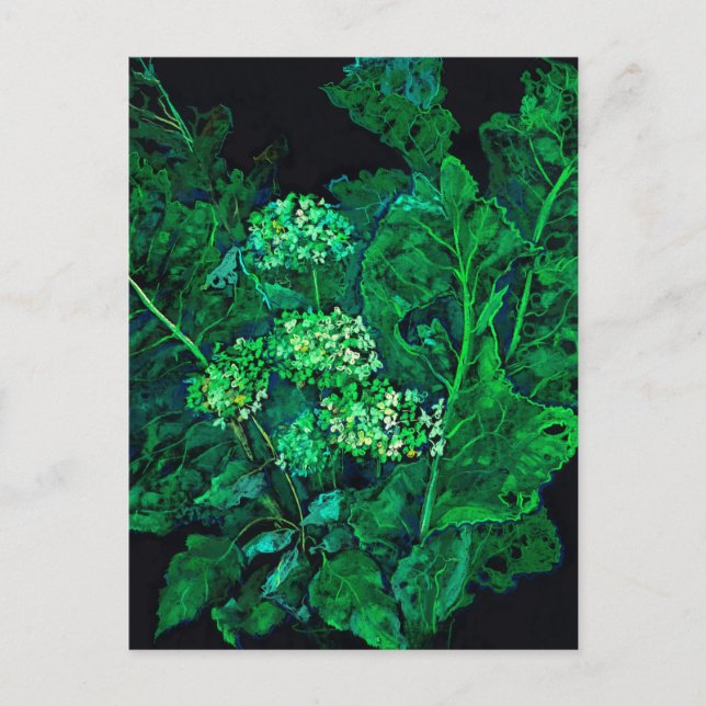 Postal Festiva Hydrangea y Arte Floral de Rábano Negro Verde y Ne (Anverso)