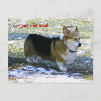 POSTAL FESTIVA I AM JUST A BIT TIRED!,