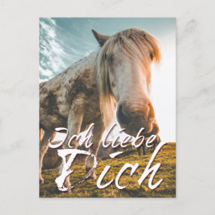 Postal Festiva Ich liebe dich mit schauenden Pferd