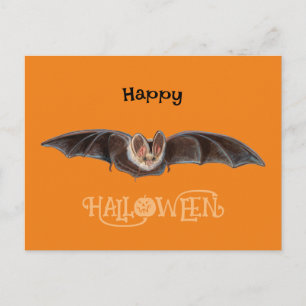 Postal Festiva Ilustracion Bat Pipistrellus Feliz Halloween