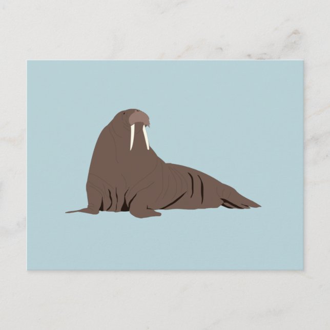 Postal Festiva Ilustracion Cute Walrus (Anverso)