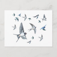 Ilustración de bandada de golondrinas volando