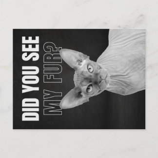 Postal Festiva Ilustración de humor sarcástico de gato Sphynx