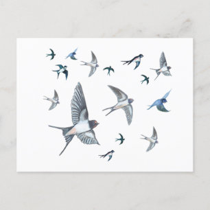 Postal Festiva Ilustracion De Las Aves Tragadas Voladoras