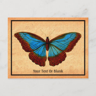 Postal Festiva Ilustracion de mariposa de época