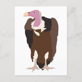 Postal Festiva Ilustracion Vulture Bird