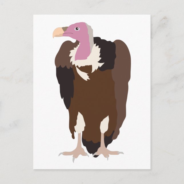Postal Festiva Ilustracion Vulture Bird (Anverso)