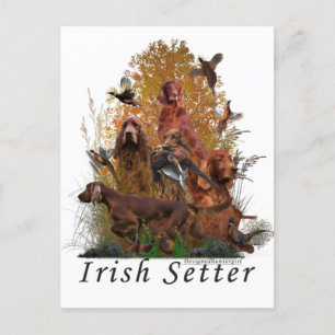 Postal Festiva Irlandés Setter