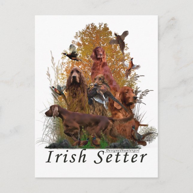 Postal Festiva Irlandés Setter (Anverso)