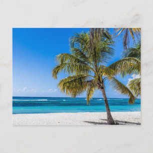Postal Festiva Isla Saona Beach República Dominicana regalo Poste