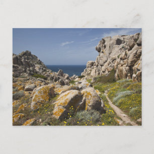 Postal Festiva Italia, Cerdeña, Santa Teresa Gallura. Capo 2