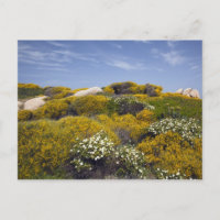 Italia, Cerdeña, Santa Teresa Gallura. Capo 3