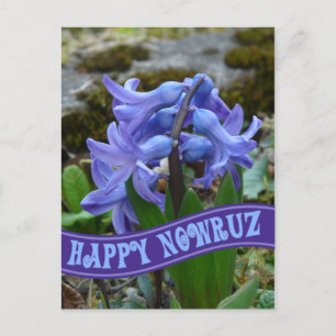 Postal Festiva Jacinth Jardín Azul Año Nuevo Iraní Nowrooz