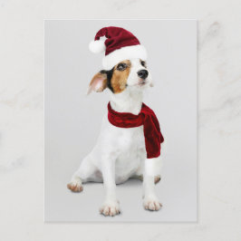 Postal Festiva Jack Russell Puppy usando Santa Hat