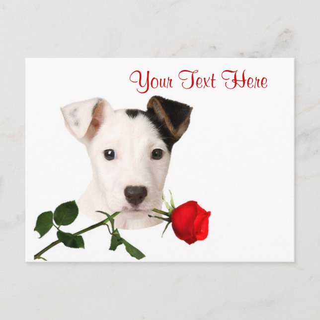 Postal Festiva Jack Russell Terrier Red Rose Valentine Design (Anverso)