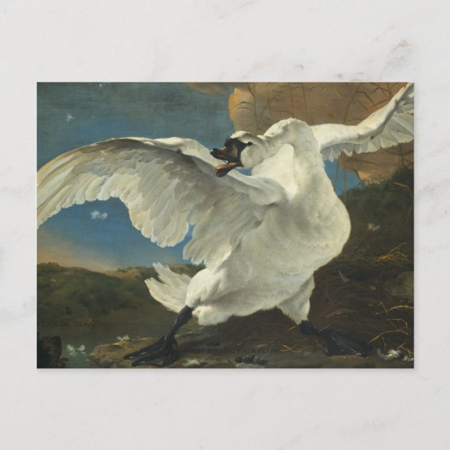 Postal Festiva Jan Asselyn - El cisne amenazado (Anverso)