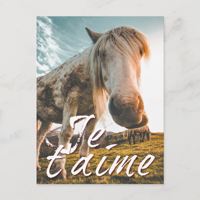 Postal Festiva Je t'aime avec igndé cheva (Anverso)