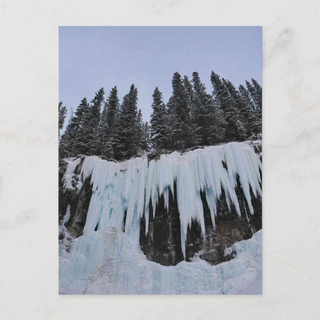 Postal Festiva Johnston Canyon Postcard (Anverso)