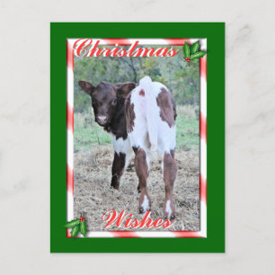Postal Festiva JoleeChristmasPcard-personalizar