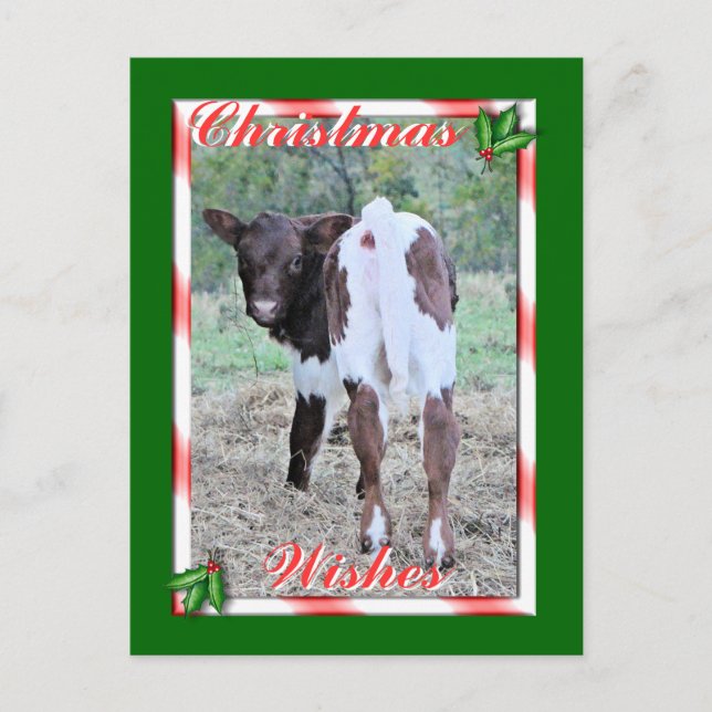 Postal Festiva JoleeChristmasPcard-personalizar (Anverso)