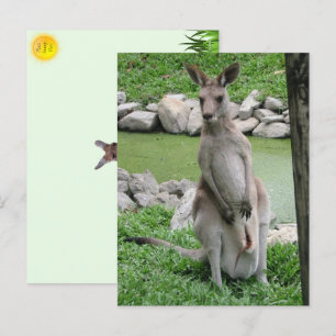 Postal Festiva Kangaroo con Joey Postcard