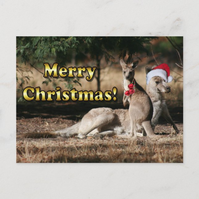 Postal Festiva Kangaroos Navidades de estilo australiano (Anverso)