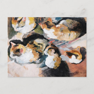 Postal Festiva Katzenstudien (Estudio de un gato) 1909
