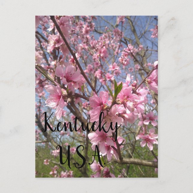 Postal Festiva Kentucky EE.UU. (Anverso)