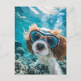 Postal Festiva King Charles Cocker Spaniel conduciendo en el océa