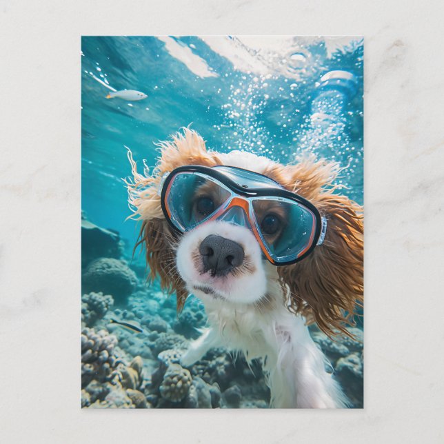 Postal Festiva King Charles Cocker Spaniel conduciendo en el océa (Anverso)