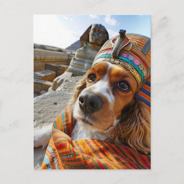 Postal Festiva King Charles Cocker Spaniel en Egipto (Anverso)