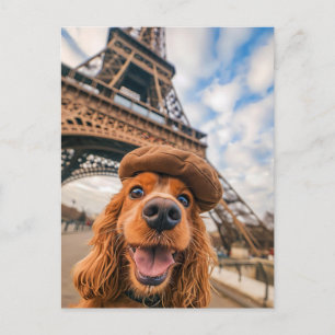 Postal Festiva King Charles Cocker Spaniel en París