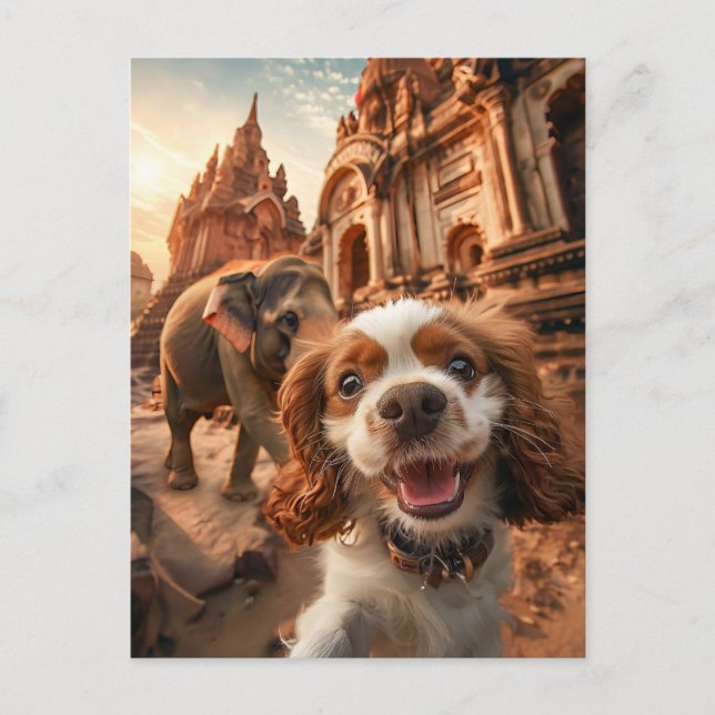 Postal Festiva King Charles Cocker Spaniel in Ankor temple (Anverso)