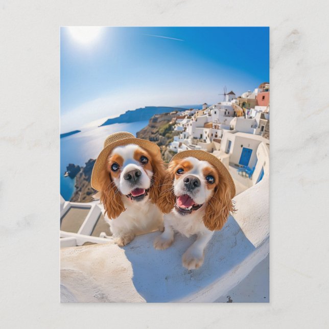 Postal Festiva King Charles Cocker Spaniel in Santorini (Anverso)