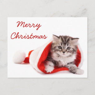 Postal Festiva Kitten in Santa Hat