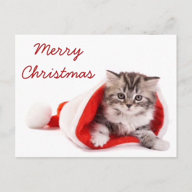 Postal Festiva Kitten in Santa Hat (Anverso)