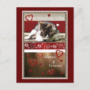 Postal Festiva Kitten Love Valentine