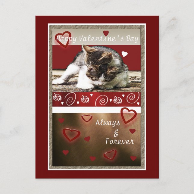 Postal Festiva Kitten Love Valentine (Anverso)