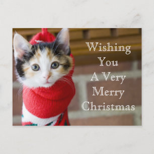 Postal Festiva Kitten, Navidades rojos