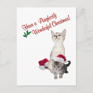 Postal Festiva Kitten Puramente Maravilloso deseo de Navidades