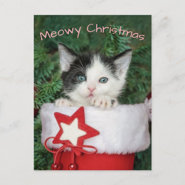 Postal Festiva Kitten Santa Claus Boot Reparando a los Navidades  (Anverso)
