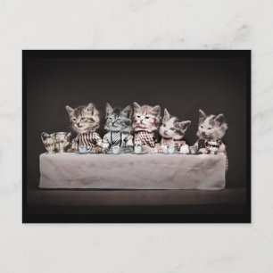 Postal Festiva Kitties en la mesa de té