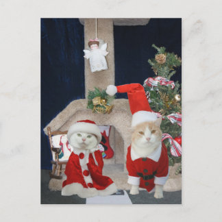 Postal Festiva Kitty Condo, Navidades graciosos y pequeños