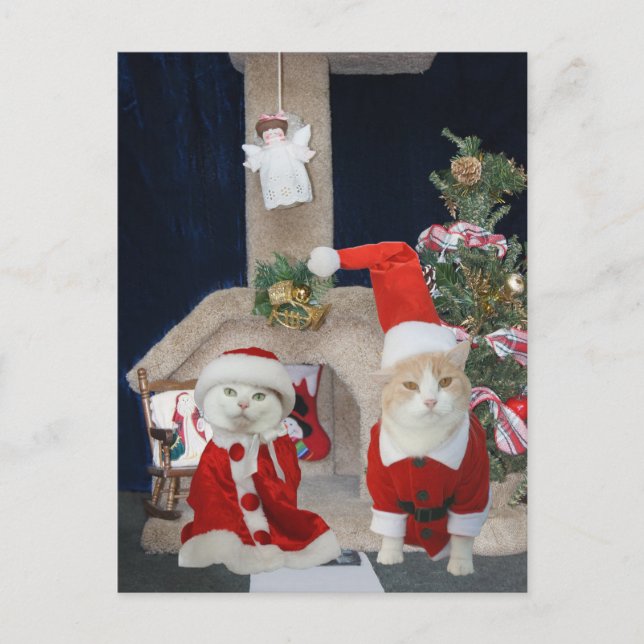 Postal Festiva Kitty Condo, Navidades graciosos y pequeños (Anverso)