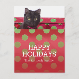 Postal Festiva Kitty In Gift Box