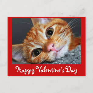 Postal Festiva Kitty Kat