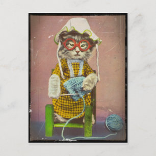 Postal Festiva Kitty Knitting