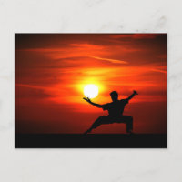¡Kung Fu Luchando!